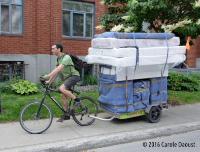 Déménageur à vélo en route à Montréal